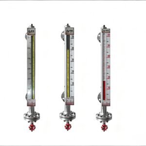 Basic Side-Mounted & Top-Mounted Magnetic Level Gauges