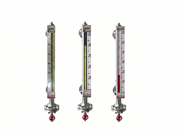 Basic Side-Mounted & Top-Mounted Magnetic Level Gauges